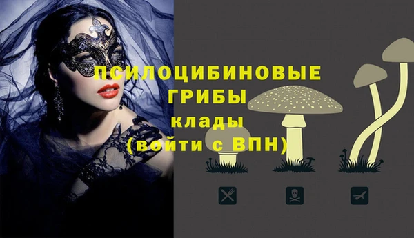 трава Надым