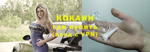 мдпв Михайлов