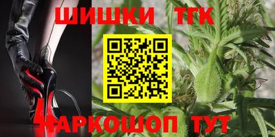 МДПВ Заводоуковск