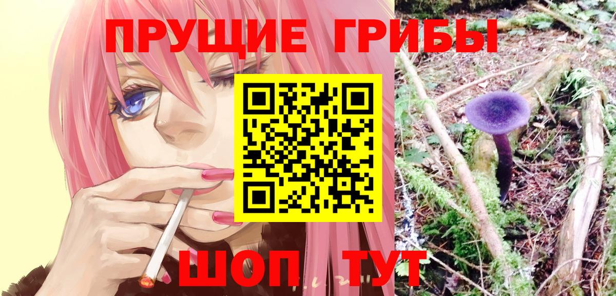 закладка  Галлюциногенные грибы GOLDEN TEACHER  Унеча  Галлюциногенные грибы мицелий 