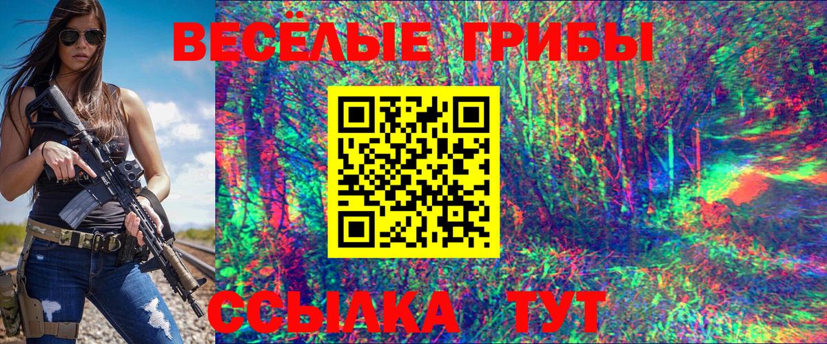 Псилоцибиновые грибы Cubensis Унеча