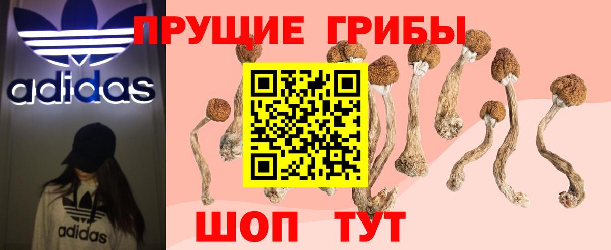 Унеча  Галлюциногенные грибы MAGIC MUSHROOMS  Вход с VPN 